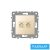 ELDLUX ELDGROUND 2×RJ45 Cat.5e UTP aljzat arany
